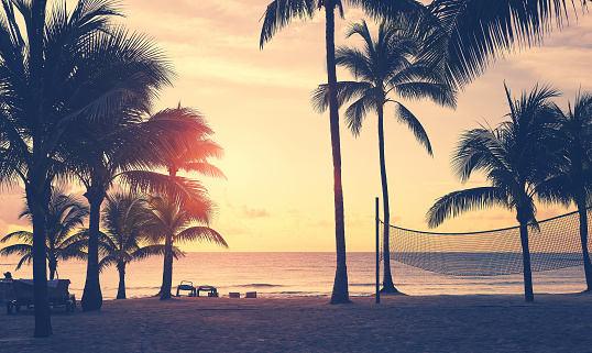 Tropical beach with coconut palm tree silhouettes at sunset, color toning applied.