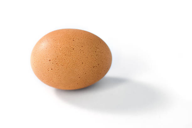 Single Speckled Brown Egg stock photo