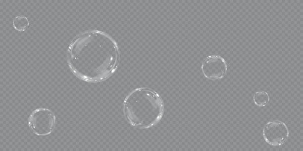 illustrations, cliparts, dessins animés et icônes de collection de bulles de savon réalistes. les bulles sont situées sur un fond transparent. bulle de savon volant vectoriel. bulle eau bulle de verre réaliste. - water drop bubble bubble wand