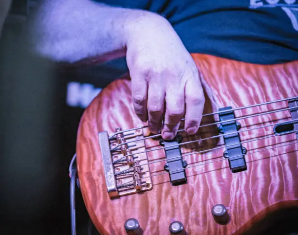 Close-up photo of an bassist performing for a live audience.