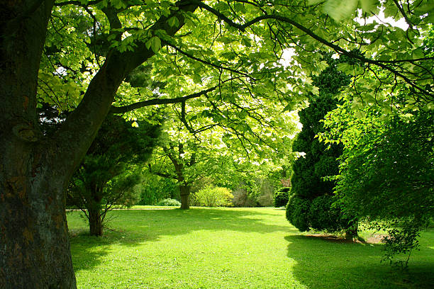 Belo jardim - foto de acervo