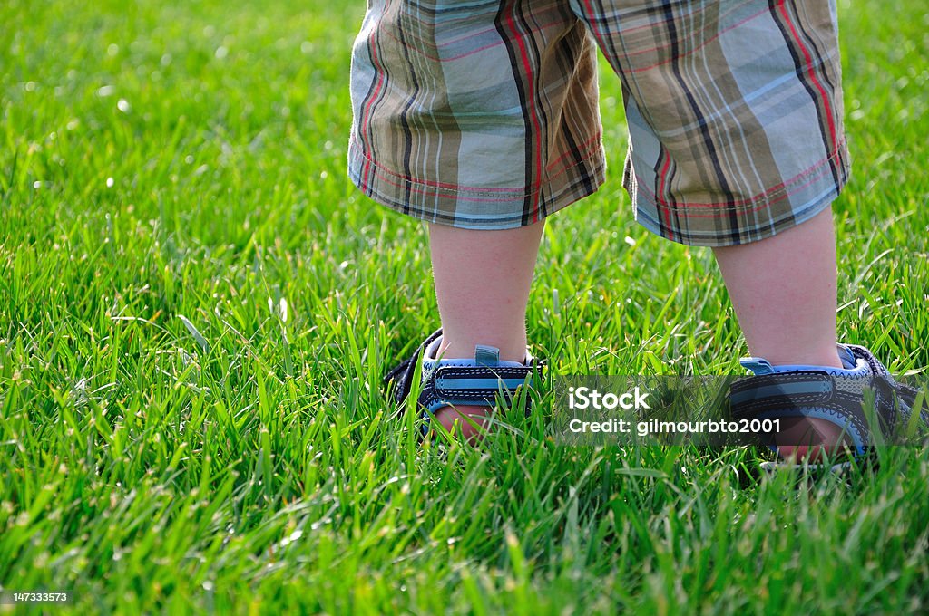 Menino de pernas e pés - Foto de stock de Grama royalty-free