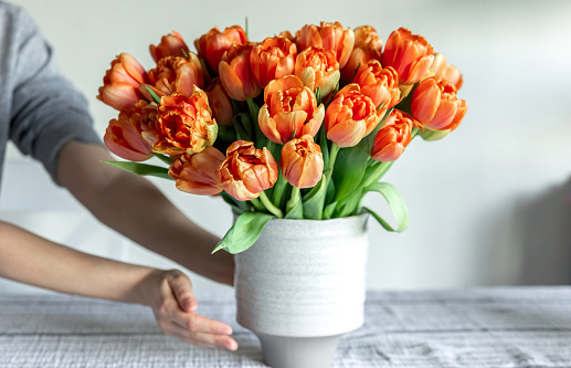 bouquet of tulips on a tray and in the background