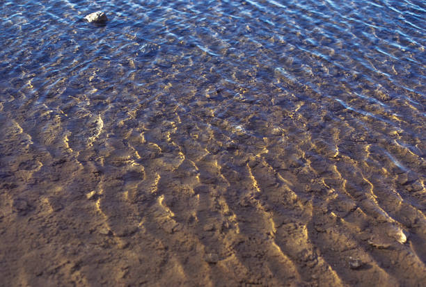 Water ripples in Death Valley Water creates unusual patterns of color in a very shallow pool in Death Valley, California. Great for backgrounds and copy space. hearkencreative stock pictures, royalty-free photos & images
