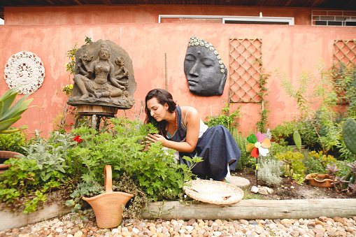 Brazilian woman, in her garden, working with natural perfumery