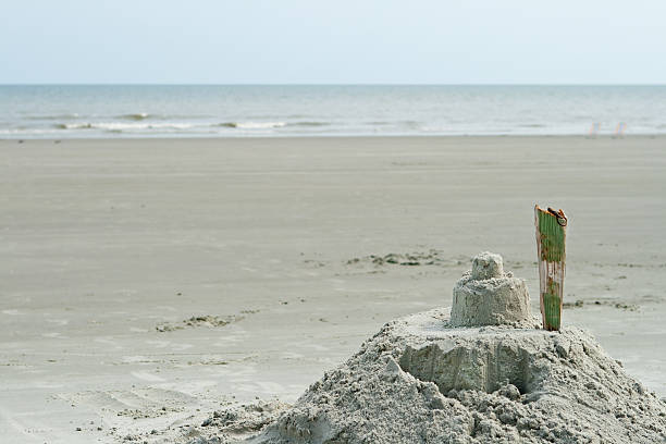 istock Sand Castle On Beach Hilton Head South Carolina 147333808