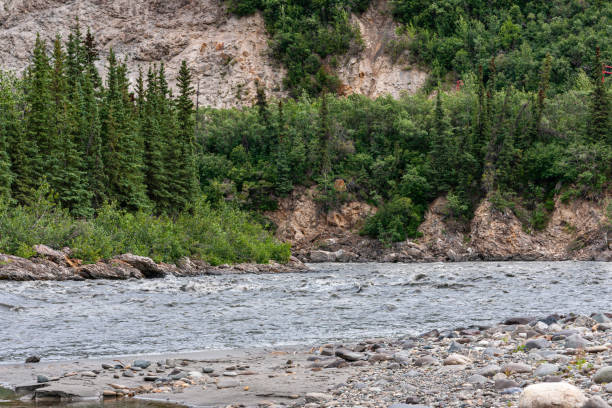 istock Fast streaming Nenana River in Denali Park, AK, USA 1473338748