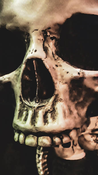 istock Human head skull closeup shot 1473340796