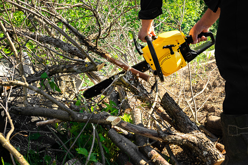 A man without gloves and protection is working with a chainsaw and sawing tree branches in the garden close-up. The concept of men at work.