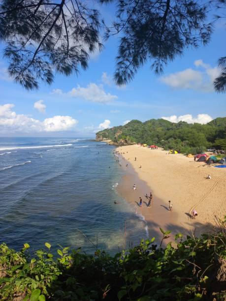 istock Beach of Hindia ocean 1473348264