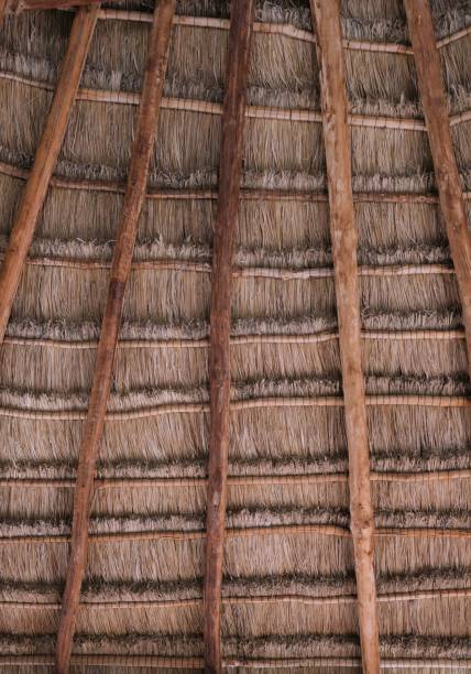 istock Thatched roof and ceilings 1473349952