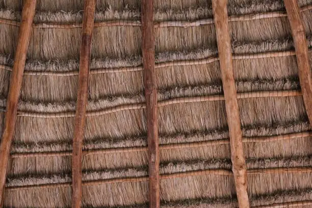 Photo of Thatched roof and ceilings