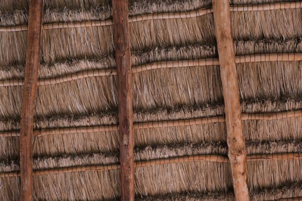 istock Thatched roof and ceilings 1473349969