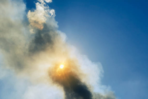 słońce na niebie przez słup dymu z wielkiego ognia wśród lasów i martwego drewna - civilization zdjęcia i obrazy z banku zdjęć