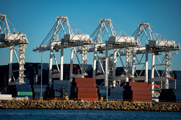 San Pedro Container Ship Port with Shipping Containers and Cranes on a Sunny Day stock photo