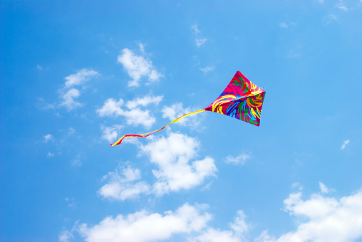 Multicolor kites flying on a sunny day in Miami Beach.