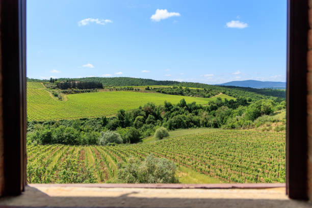 istock Castellina in Chianti vineyards from window 1473372803
