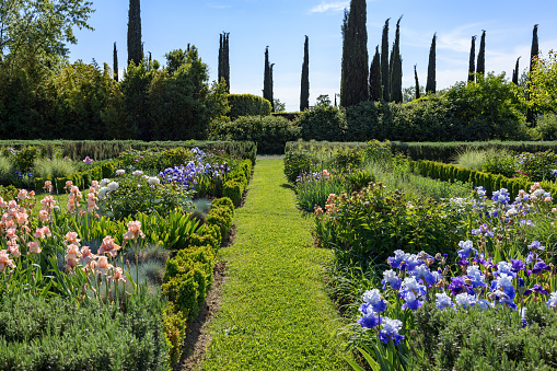 Tuscan  garden