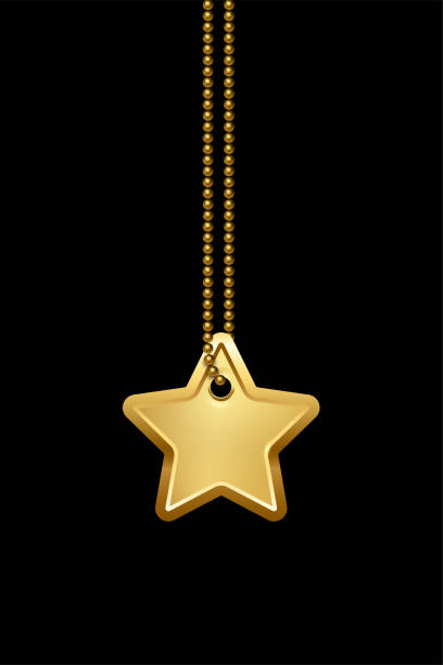 Empty star shape gold military or dogs badge hanging on steel chain. Vector army medallion isolated on black background. Pendant with blank space for identification, blood type in case of injury Empty star shape gold military or dogs badge hanging on steel chain. Vector army medallion isolated on black background. Pendant with blank space for identification, blood type in case of injury. vietnam dog tags stock illustrations