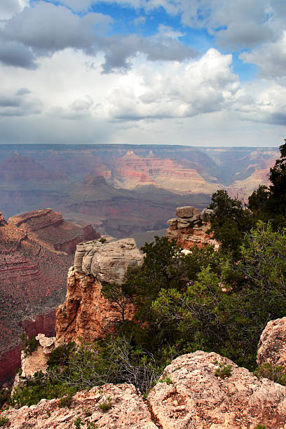 istock Grand Canyon National Park, USA 147338034