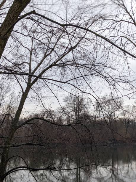 istock Schuylkill River Trail Winter Nature Scene 1473390415