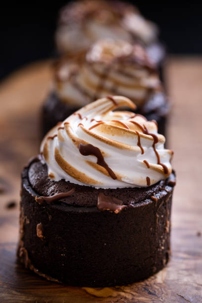 Decadent Smores Brownies