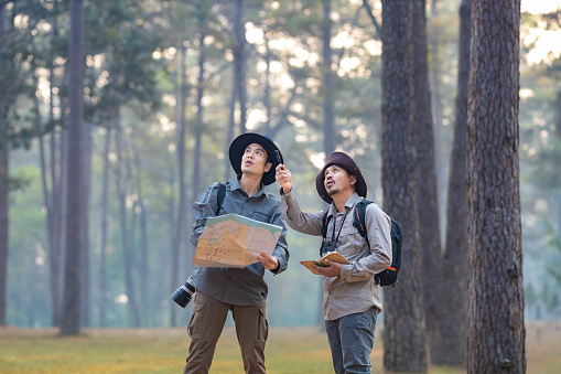Team of the Asian naturalist looking at the map while exploring in the pine forest for surveying and discovering the rare biological diversity and ecologist on the field study concept