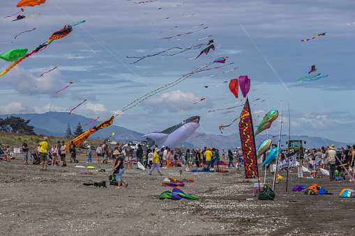 A large whale shark kite and an octopus kite are being raised from the sand at the Otaki Beach Kite Festival in New Zealand. There are a number of kites already in the air. People look on from the barricades while the exhibitors manage their kites in the roped off areas.