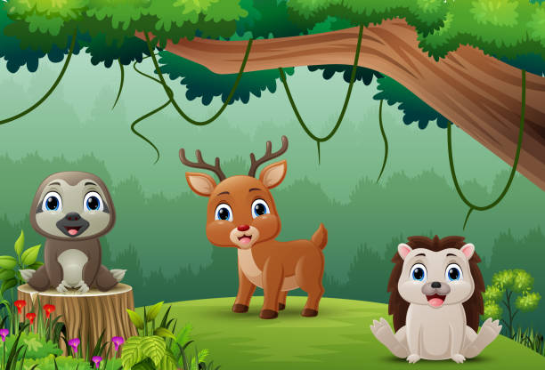 ilustraciones, imágenes clip art, dibujos animados e iconos de stock de dibujos animados de animales salvajes en la selva - 15838