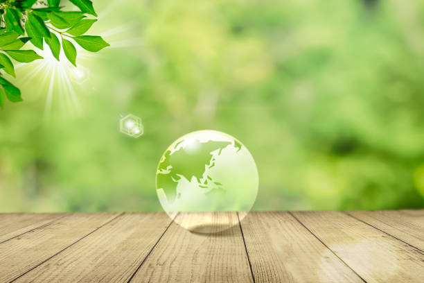 A transparent Earth against a forest background. Image of climate change and environmental protection stock photo