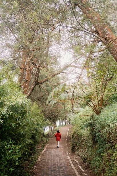 istock Girl In Red Jacket Walking Down Stone Pathway Under Large Trees 1473416161