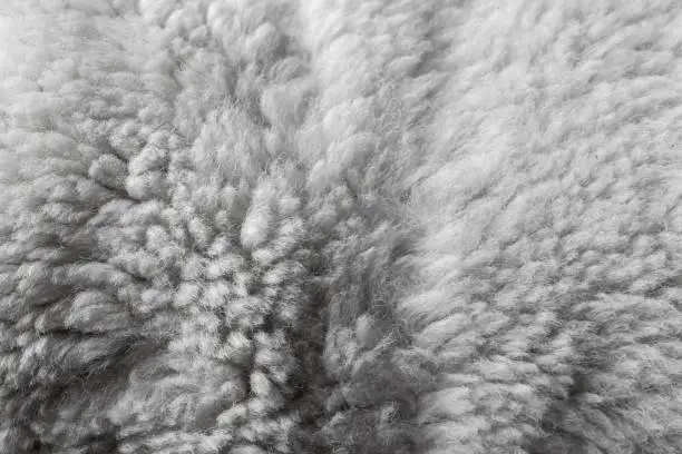 Natural white sheepskin, macro photo photo. Background texture