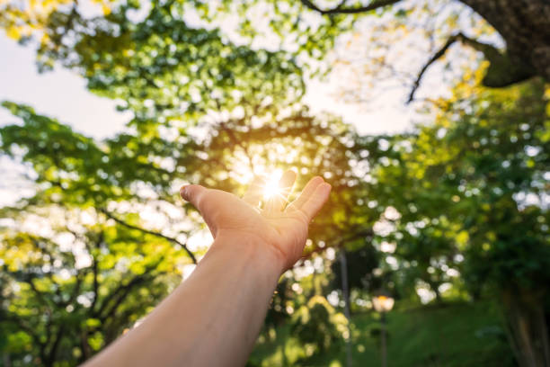 Young man's hand reaching for the sunrise above the trees in the morning stock photo