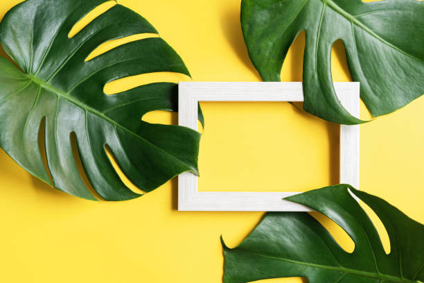 istock Tropical green leaves with picture frame on color background with copy space, Top view 1473421075