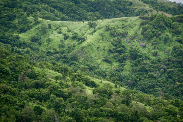 istock mornig landscape 1473422168