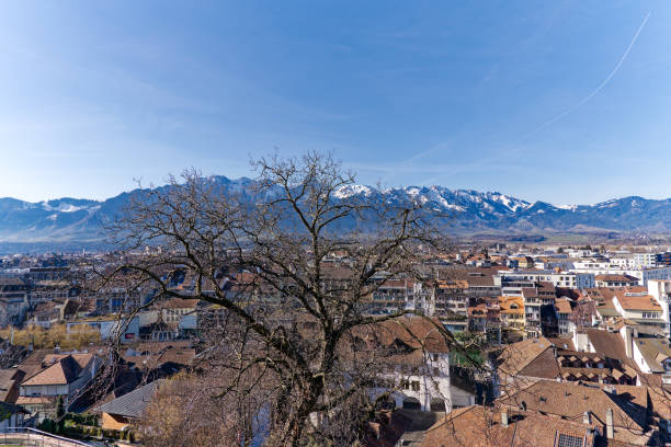живописный вид на город тун с красивым пейзажем и швейцарскими альпами на заднем плане в солнечный зимний день. - thun aerial view switzerland tree стоковые фото и изображения