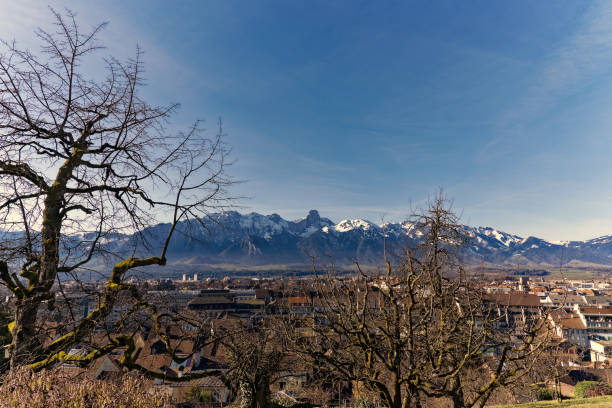 vista panorâmica sobre a cidade de thun, com bela paisagem e alpes suíços ao fundo em um dia ensolarado de inverno. - thun aerial view switzerland tree - fotografias e filmes do acervo