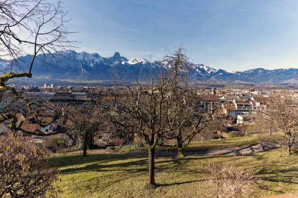 vista panorâmica sobre a cidade de thun, com bela paisagem e alpes suíços ao fundo em um dia ensolarado de inverno. - thun aerial view switzerland tree - fotografias e filmes do acervo