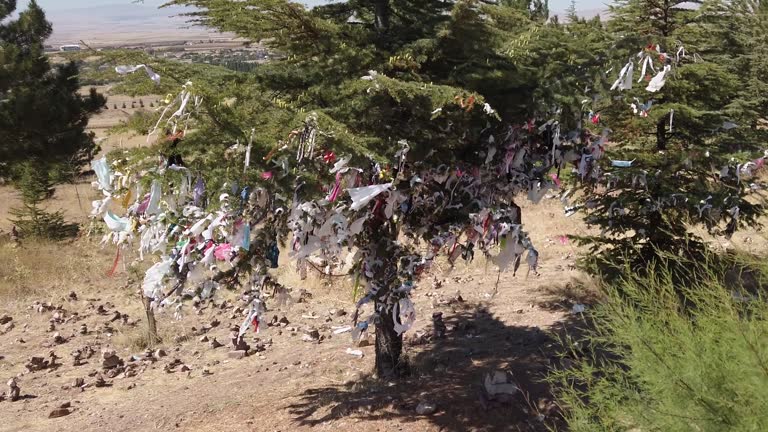 Wish tree in Hacibektas, Nevşehir, Turkey