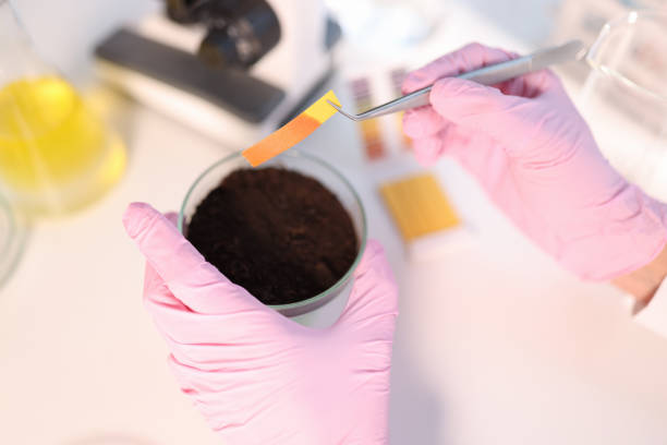 istock Laboratory analysis of soil contamination and test strip 1473431417