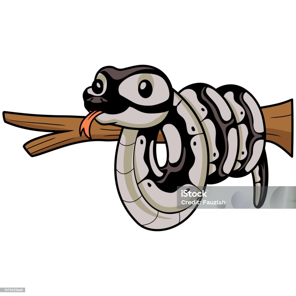 Anima Si Ular Python Kartun Ular Python Lucu Di Cabang Pohon Ilustrasi Stok - Unduh Gambar ...
