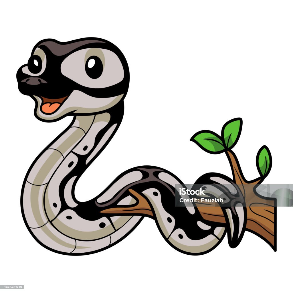 Anima Si Ular Python Kartun Ular Python Lucu Di Cabang Pohon Ilustrasi Stok - Unduh Gambar ...