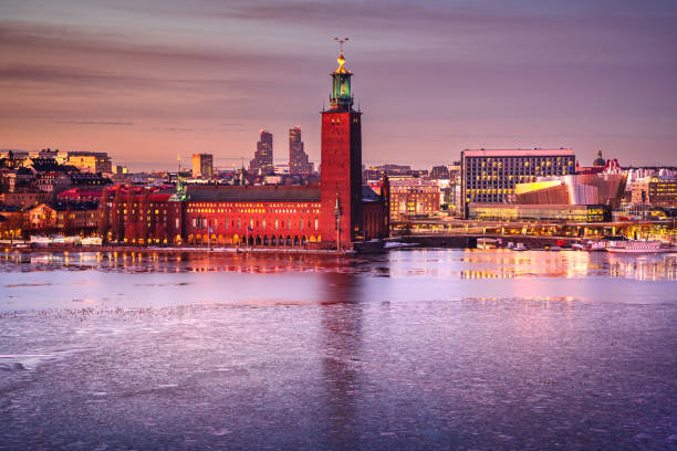 stockholm, schweden. rathausturm und glama stan panoramablick, wintersaison. - stadsholmen stock-fotos und bilder