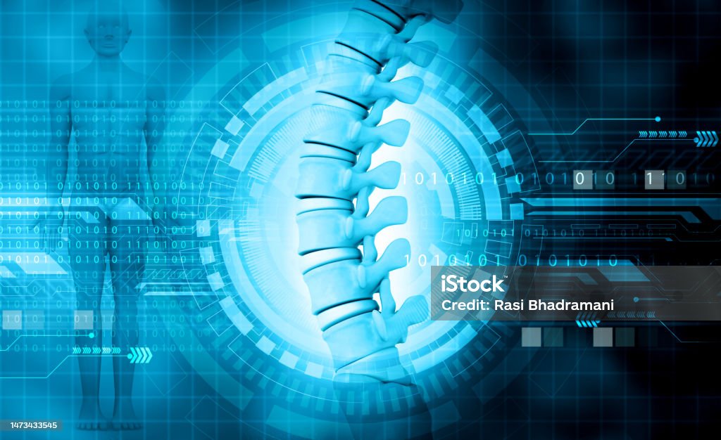 Human spinal cord on modern technology background Human spinal cord on modern technology background. 3d illustraton Spine - Body Part Stock Photo