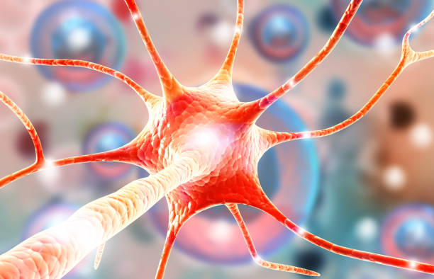 istock Human brain neurons anatomy 1473433918