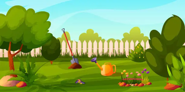 Vector illustration of Summer backyard garden with blooming bushes, shovel, watering can, flowers, fence, flower bed, equipment, grass, park plants, green trees. Flowerbed with stones, blossoms. Vector illustration