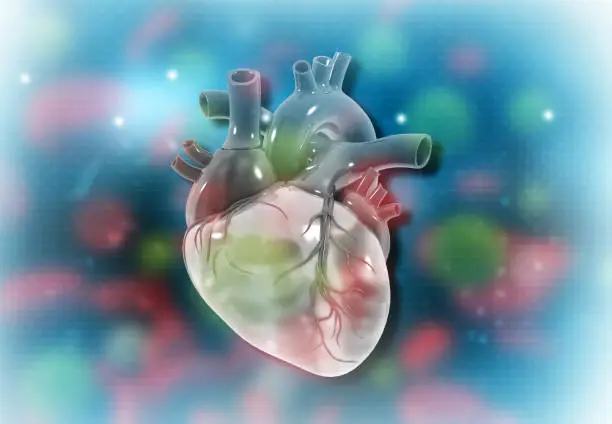 Photo of Human heart on scientific background