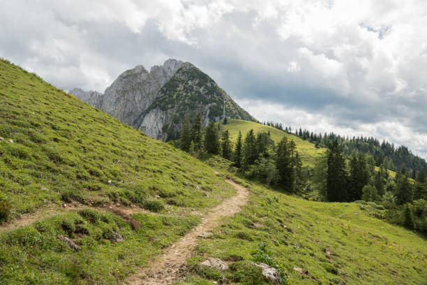 istock Hiking path between green grassy alpine slopes viewing towards pine trees and a beautiful rocky peak in Austria during a summer day. 1473439008