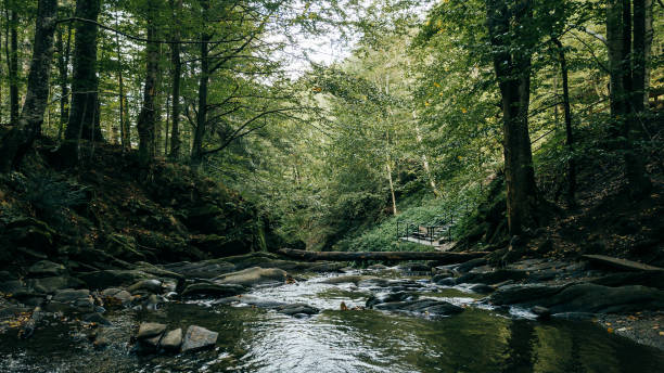 istock Szepit waterfall in the mountains. Bieszczady, Poland. 1473439360