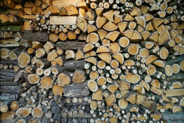 istock Firewood stacked natural scene 1473440811